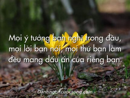 Mọi ý tưởng bạn nghĩ trong đầu, mọi lời bạn nói, mọi thứ bạn làm đều mang dấu ấn của riêng bạn.