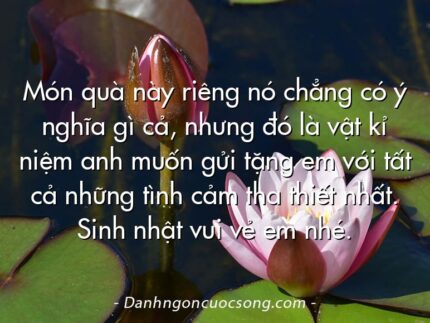 Món quà này riêng nó chẳng có ý nghĩa gì cả, nhưng đó là vật kỉ niệm anh muốn gửi tặng em với tất cả những tình cảm tha thiết nhất. Sinh nhật vui vẻ em nhé.