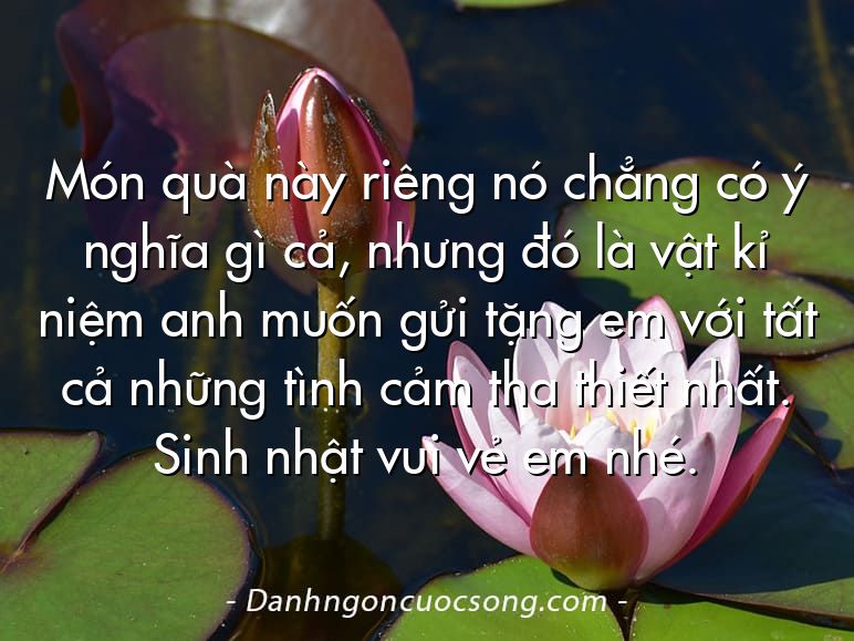 Món quà này riêng nó chẳng có ý nghĩa gì cả, nhưng đó là vật kỉ niệm anh muốn gửi tặng em với tất cả những tình cảm tha thiết nhất. Sinh nhật vui vẻ em nhé.