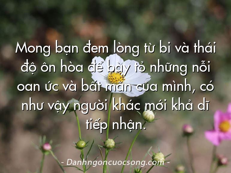 Mong bạn đem lòng từ bi và thái độ ôn hòa để bày tỏ những nỗi oan ức và bất mãn của mình, có như vậy người khác mới khả dĩ tiếp nhận.