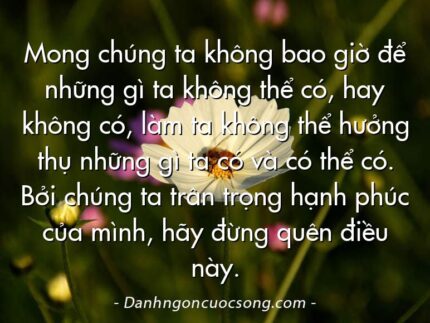 Mong chúng ta không bao giờ để những gì ta không thể có, hay không có, làm ta không thể hưởng thụ những gì ta có và có thể có. Bởi chúng ta trân trọng hạnh phúc của mình, hãy đừng quên điều này.