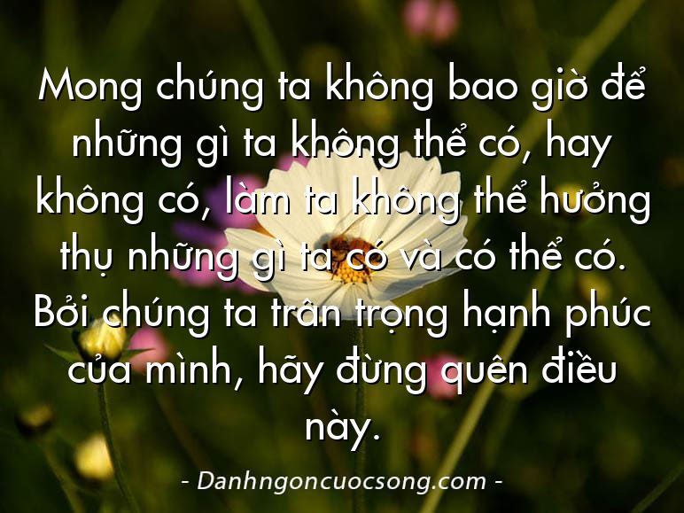 Mong chúng ta không bao giờ để những gì ta không thể có, hay không có, làm ta không thể hưởng thụ những gì ta có và có thể có. Bởi chúng ta trân trọng hạnh phúc của mình, hãy đừng quên điều này.