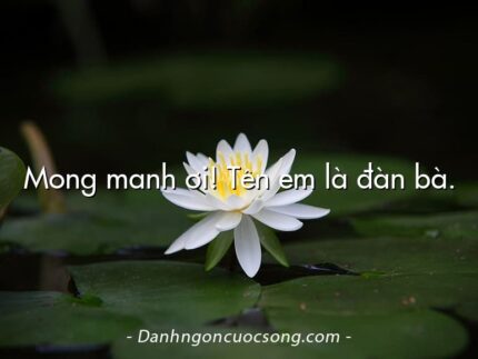 Mong manh ơi! Tên em là đàn bà.