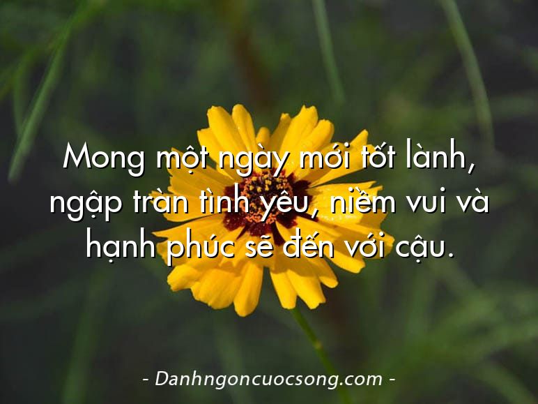 Mong một ngày mới tốt lành, ngập tràn tình yêu, niềm vui và hạnh phúc sẽ đến với cậu.