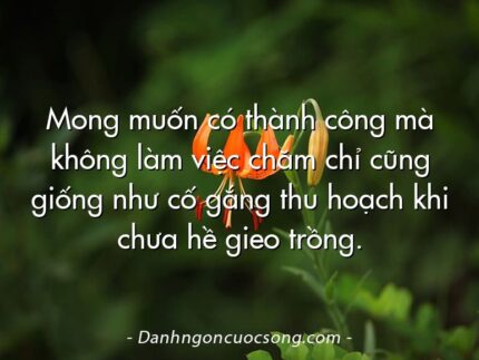 Mong muốn có thành công mà không làm việc chăm chỉ cũng giống như cố gắng thu hoạch khi chưa hề gieo trồng.