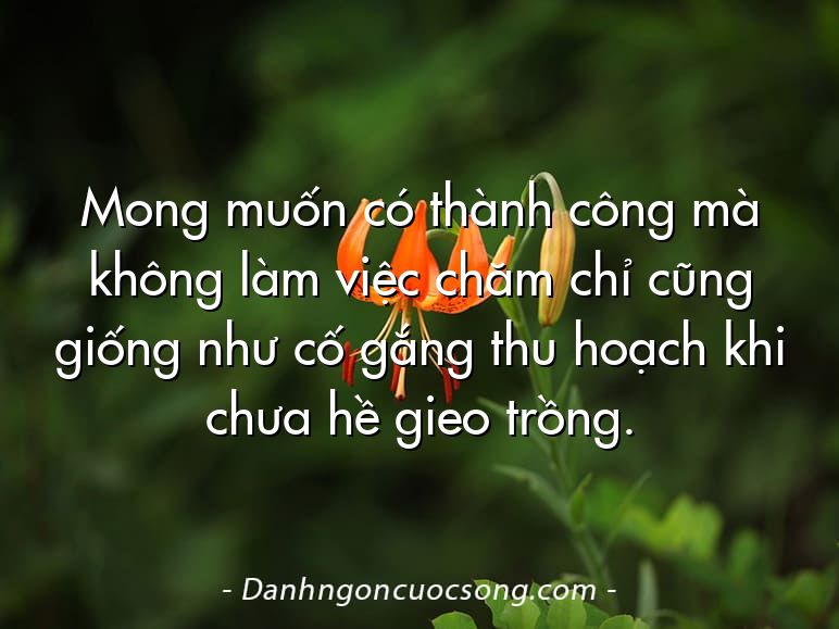 Mong muốn có thành công mà không làm việc chăm chỉ cũng giống như cố gắng thu hoạch khi chưa hề gieo trồng.