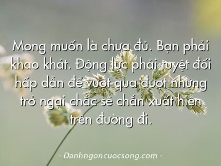 Mong muốn là chưa đủ. Bạn phải khao khát. Động lực phải tuyệt đối hấp dẫn để vượt qua đượt những trở ngại chắc sẽ chắn xuất hiện trên đường đi.