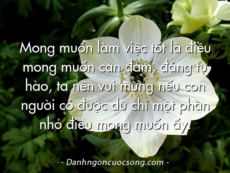 Mong muốn làm việc tốt là điều mong muốn can đảm, đáng tự hào, ta nên vui mừng nếu con người có được dù chỉ một phần nhỏ điều mong muốn ấy.