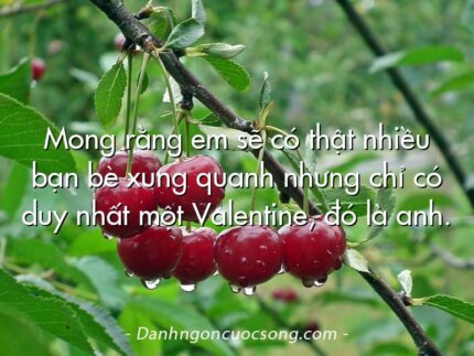Mong rằng em sẽ có thật nhiều bạn bè xung quanh nhưng chỉ có duy nhất một Valentine, đó là anh.