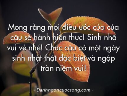 Mong rằng mọi điều ước của của cậu sẽ hành hiện thực! Sinh nhậ vui vẻ nhé! Chúc cậu có một ngày sinh nhật thật đặc biệt và ngập tràn niềm vui!