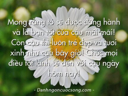 Mong rằng tớ sẽ được đồng hành và là bạn tốt của cậu mãi mãi! Còn cậu thì luôn trẻ đẹp và tươi xinh như cậu bây giờ! Chúc mọi điều tốt lành sẽ đến với cậu ngày hôm nay!