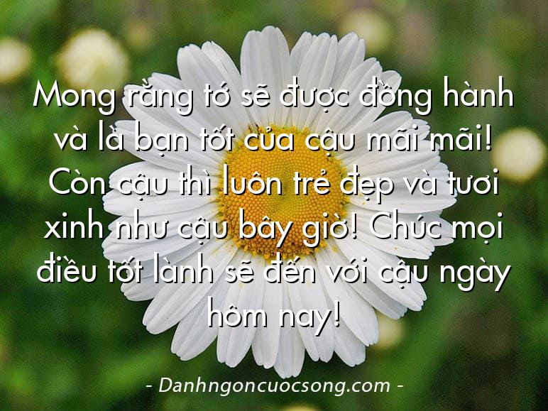 Mong rằng tớ sẽ được đồng hành và là bạn tốt của cậu mãi mãi! Còn cậu thì luôn trẻ đẹp và tươi xinh như cậu bây giờ! Chúc mọi điều tốt lành sẽ đến với cậu ngày hôm nay!