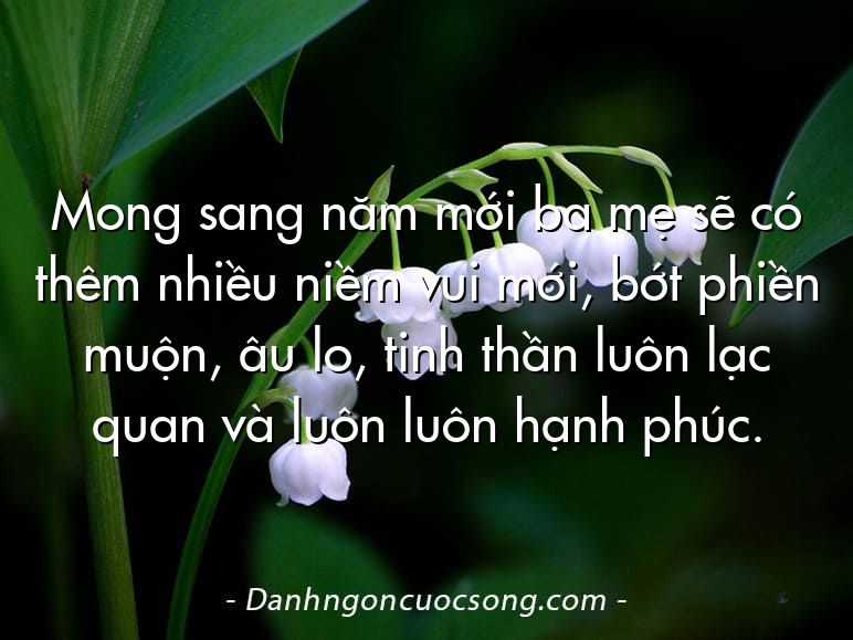 Mong sang năm mới ba mẹ sẽ có thêm nhiều niềm vui mới, bớt phiền muộn, âu lo, tinh thần luôn lạc quan và luôn luôn hạnh phúc.