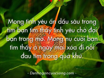 Mong tình yêu ẩn dấu sâu trong tim bạn tìm thấy tình yêu chờ đợi bạn trong mơ. Mong nụ cười bạn tìm thấy ở ngày mai xóa đi nỗi đau tìm trong quá khứ.
