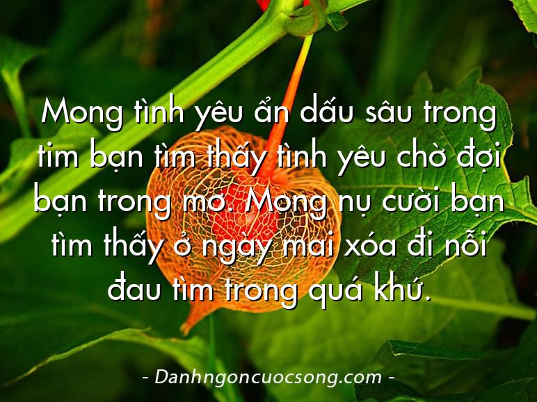 Mong tình yêu ẩn dấu sâu trong tim bạn tìm thấy tình yêu chờ đợi bạn trong mơ. Mong nụ cười bạn tìm thấy ở ngày mai xóa đi nỗi đau tìm trong quá khứ.