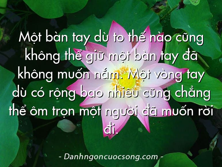 Một bàn tay dù to thế nào cũng không thể giữ một bàn tay đã không muốn nắm. Một vòng tay dù có rộng bao nhiêu cũng chẳng thể ôm trọn một người đã muốn rời đi.