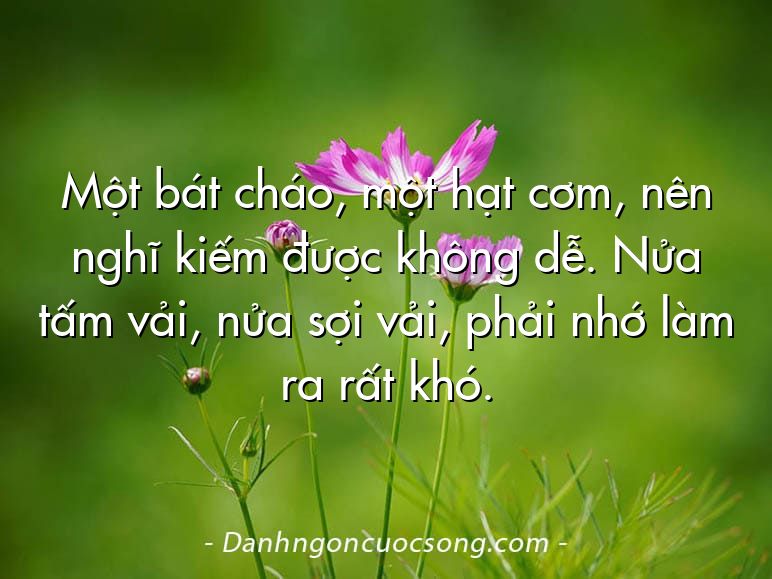 Một bát cháo, một hạt cơm, nên nghĩ kiếm được không dễ. Nửa tấm vải, nửa sợi vải, phải nhớ làm ra rất khó.