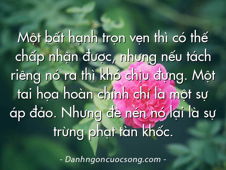 Một bất hạnh trọn vẹn thì có thế chấp nhận được, nhưng nếu tách riêng nó ra thì khó chịu đựng. Một tai họa hoàn chỉnh chỉ là một sự áp đảo. Nhưng đè nén nó lại là sự trừng phạt tàn khốc.