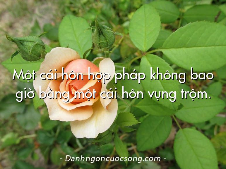 Một cái hôn hợp pháp không bao giờ bằng một cái hôn vụng trộm.