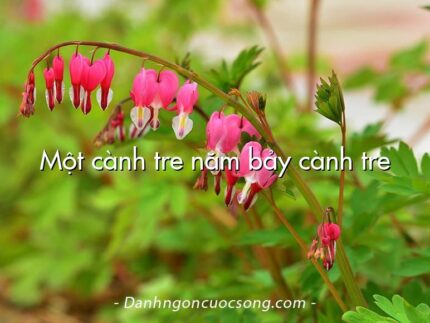Một cành tre năm bảy cành tre