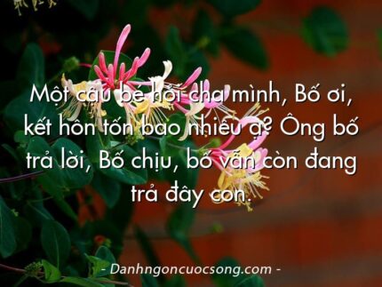 Một cậu bé hỏi cha mình, Bố ơi, kết hôn tốn bao nhiêu ạ? Ông bố trả lời, Bố chịu, bố vẫn còn đang trả đây con.