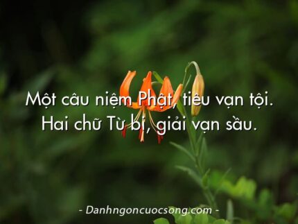 Một câu niệm Phật, tiêu vạn tội. Hai chữ Từ bi, giải vạn sầu.