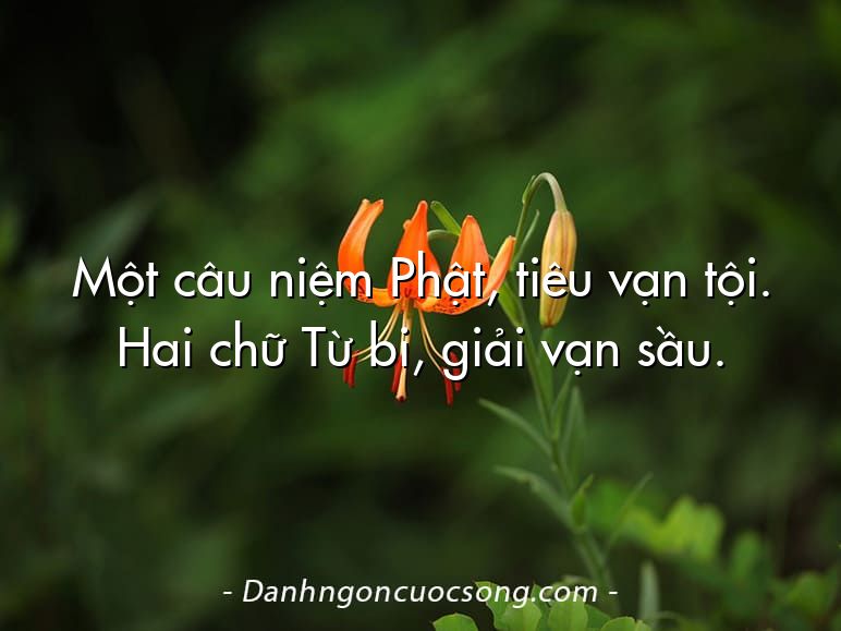 Một câu niệm Phật, tiêu vạn tội. Hai chữ Từ bi, giải vạn sầu.
