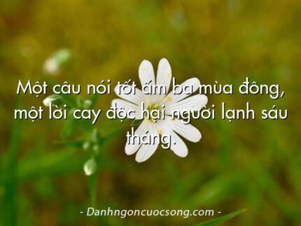Một câu nói tốt ấm ba mùa đông, một lời cay độc hại người lạnh sáu tháng.