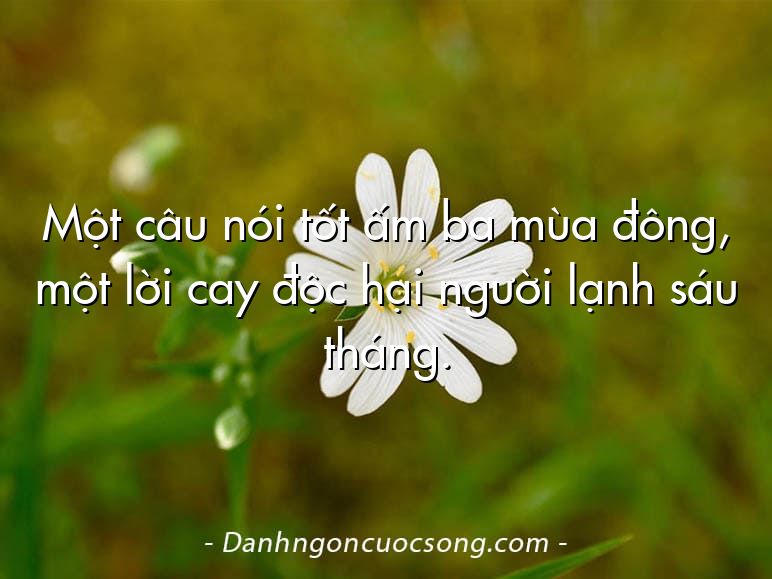 Một câu nói tốt ấm ba mùa đông, một lời cay độc hại người lạnh sáu tháng.