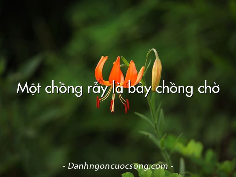 Một chồng rẫy là bảy chồng chờ