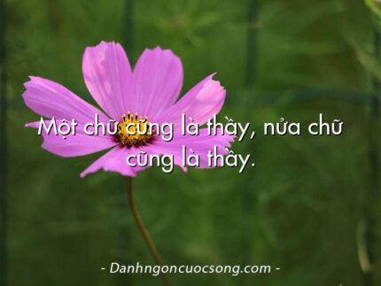 Một chữ cũng là thầy, nửa chữ cũng là thầy.