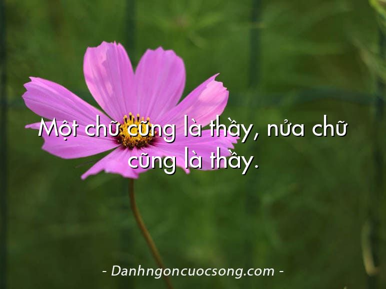 Một chữ cũng là thầy, nửa chữ cũng là thầy.