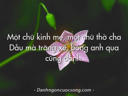 Một chữ kinh mẹ, một chữ thờ cha Dẫu mà trăng xế, bóng anh qua cũng đành.