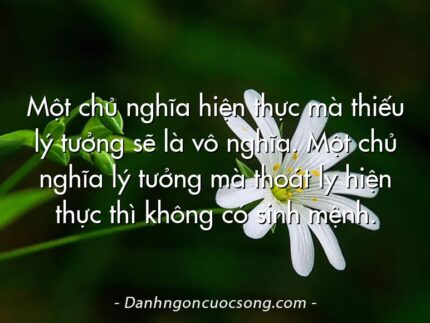 Một chủ nghĩa hiện thực mà thiếu lý tưởng sẽ là vô nghĩa. Một chủ nghĩa lý tưởng mà thoát ly hiện thực thì không có sinh mệnh.