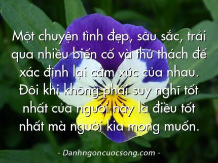 Một chuyện tình đẹp, sâu sắc, trải qua nhiều biến cố và thử thách để xác định lại cảm xúc của nhau. Đôi khi không phải suy nghĩ tốt nhất của người này là điều tốt nhất mà người kia mong muốn.