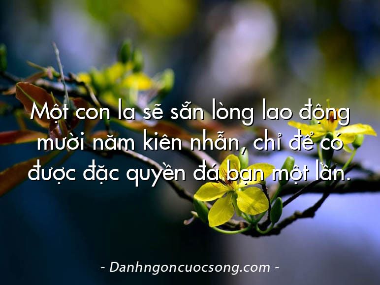 Một con la sẽ sẵn lòng lao động mười năm kiên nhẫn, chỉ để có được đặc quyền đá bạn một lần.