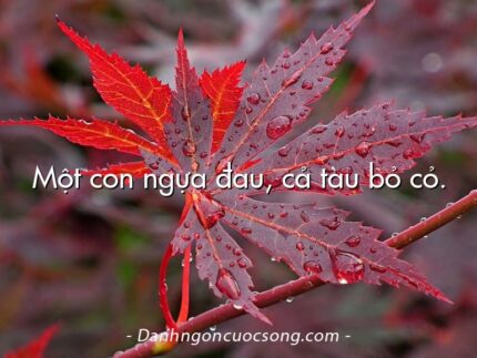 Một con ngựa đau, cả tàu bỏ cỏ.