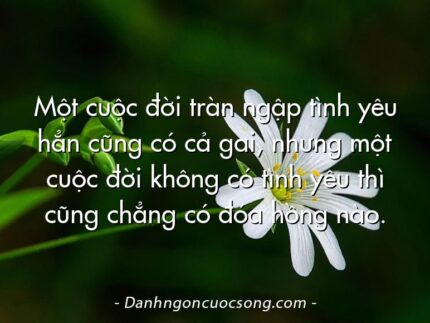 Một cuộc đời tràn ngập tình yêu hẳn cũng có cả gai, nhưng một cuộc đời không có tình yêu thì cũng chẳng có đóa hồng nào.