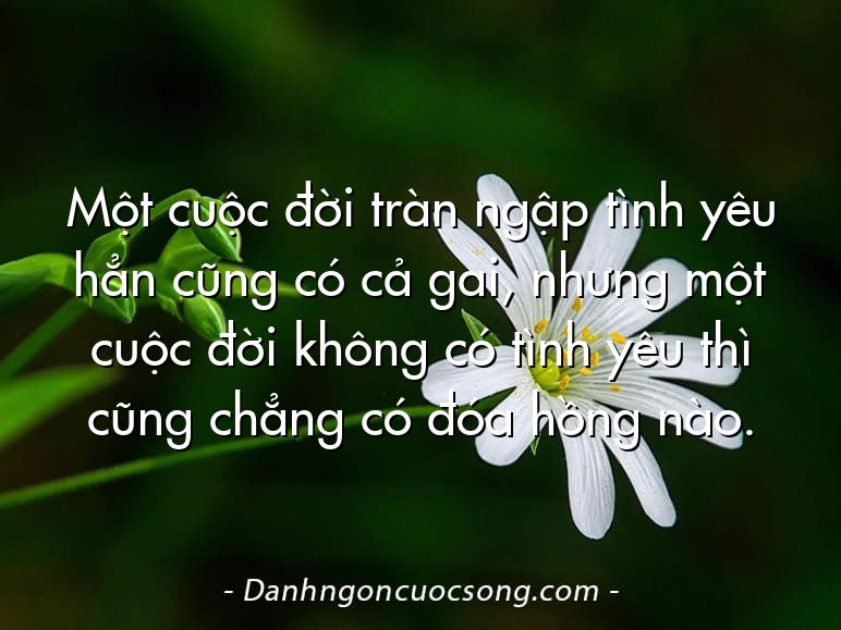 Một cuộc đời tràn ngập tình yêu hẳn cũng có cả gai, nhưng một cuộc đời không có tình yêu thì cũng chẳng có đóa hồng nào.
