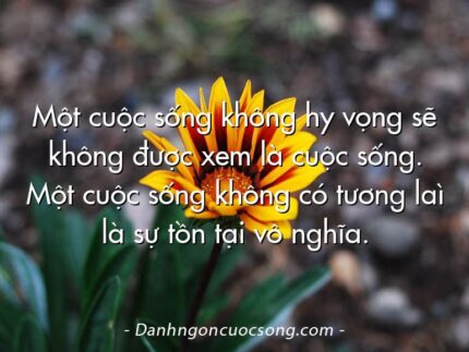 Một cuộc sống không hy vọng sẽ không được xem là cuộc sống. Một cuộc sống không có tương laì là sự tồn tại vô nghĩa.