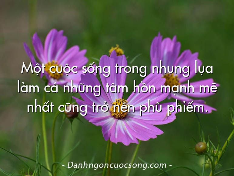 Một cuộc sống trong nhung lụa làm cả những tâm hồn mạnh mẽ nhất cũng trở nên phù phiếm.