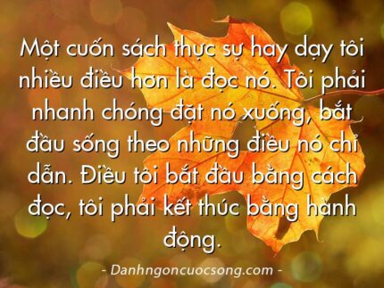 Một cuốn sách thực sự hay dạy tôi nhiều điều hơn là đọc nó. Tôi phải nhanh chóng đặt nó xuống, bắt đầu sống theo những điều nó chỉ dẫn. Điều tôi bắt đầu bằng cách đọc, tôi phải kết thúc bằng hành động.