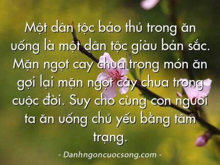 Một dân tộc bảo thủ trong ăn uống là một dân tộc giàu bản sắc. Mặn ngọt cay chua trong món ăn gợi lại mặn ngọt cay chua trong cuộc đời. Suy cho cùng con người ta ăn uống chủ yếu bằng tâm trạng.