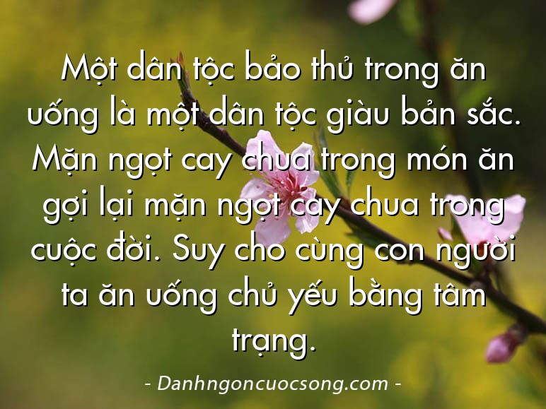 Một dân tộc bảo thủ trong ăn uống là một dân tộc giàu bản sắc. Mặn ngọt cay chua trong món ăn gợi lại mặn ngọt cay chua trong cuộc đời. Suy cho cùng con người ta ăn uống chủ yếu bằng tâm trạng.