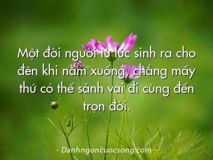 Một đời người từ lúc sinh ra cho đên khi nằm xuống, chẳng mấy thứ có thể sánh vai đi cùng đến trọn đời.