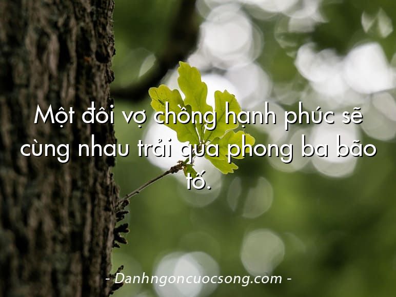 Một đôi vợ chồng hạnh phúc sẽ cùng nhau trải qua phong ba bão tố.