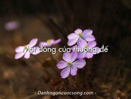 Một đồng của thượng đế