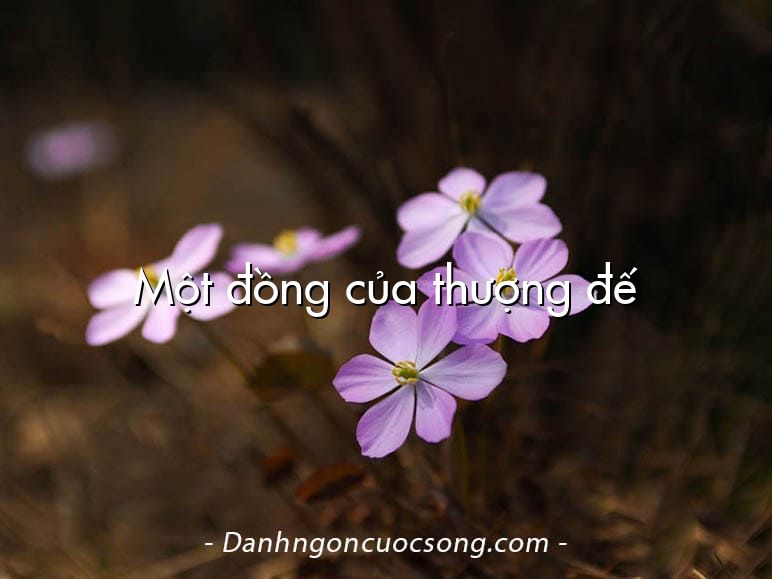 Một đồng của thượng đế