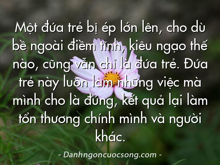 Một đứa trẻ bị ép lớn lên, cho dù bề ngoài điềm tĩnh, kiêu ngạo thế nào, cũng vẫn chỉ là đứa trẻ. Đứa trẻ này luôn làm những việc mà mình cho là đúng, kết quả lại làm tổn thương chính mình và người khác.