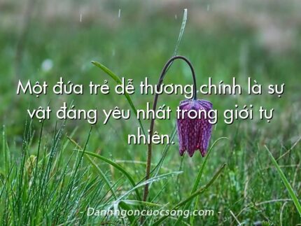 Một đứa trẻ dễ thương chính là sự vật đáng yêu nhất trong giới tự nhiên.